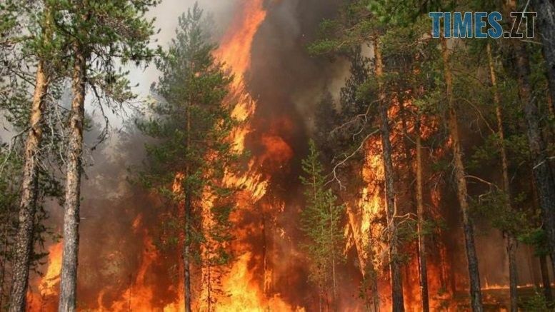 На Житомирщині оголошено надзвичайний рівень пожежної небезпеки