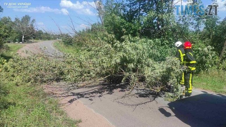 Внаслідок негоди на Житомирщині 12 населених пунктів залишилися без електропостачання