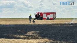 За минулу добу вогнеборці ліквідували на Житомирщині загоряння сухостою на площі 5.5 га