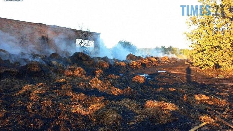 Минулої доби на Житомирщині вогонь знищив понад 5,5 га сухої рослинності