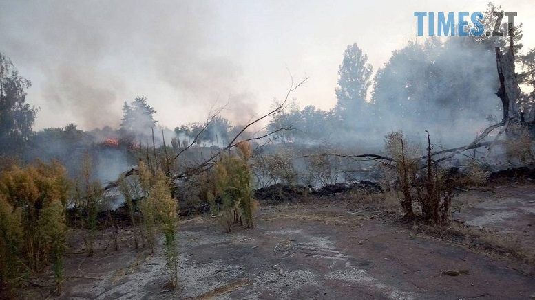 Через загоряння сухостою у Високій Печі мало не згоріли будинки селян