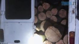 На Любарщині правоохоронці затримали крадія лісу з Хмельниччини