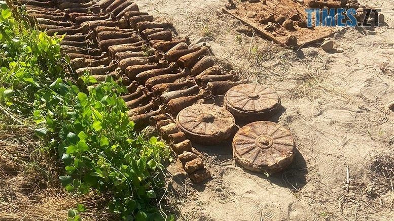 На присадибній ділянці житомирянки було виявлено 85 мін та 8 гранат часів Другої світової війни (ФОТО)