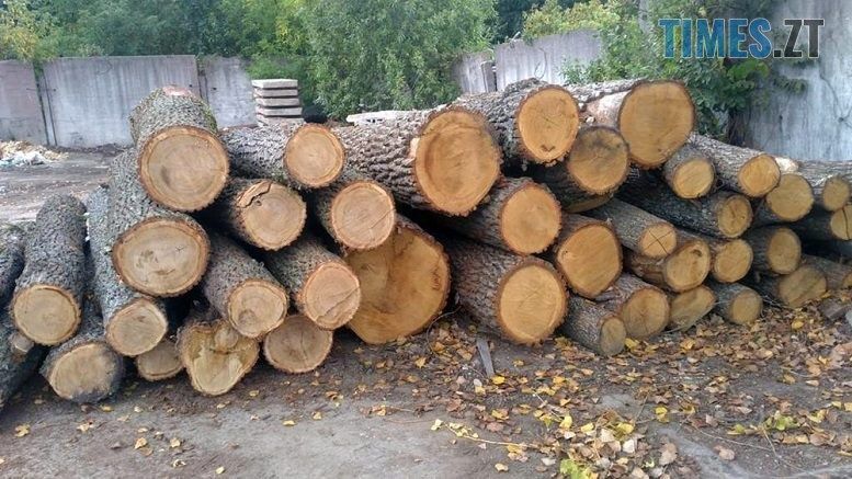 На одній з приватних лісопилень Олевщини правоохоронці виявили необліковану деревину