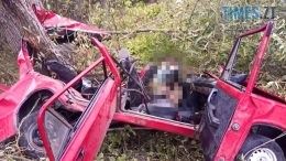 Смертельна ДТП на Радомишльщині: легковик на швидкості влетів у дерево
