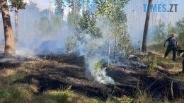 Минулої доби вогнеборці ліквідували на Житомирщині загоряння сухостою на площі 4,4 га