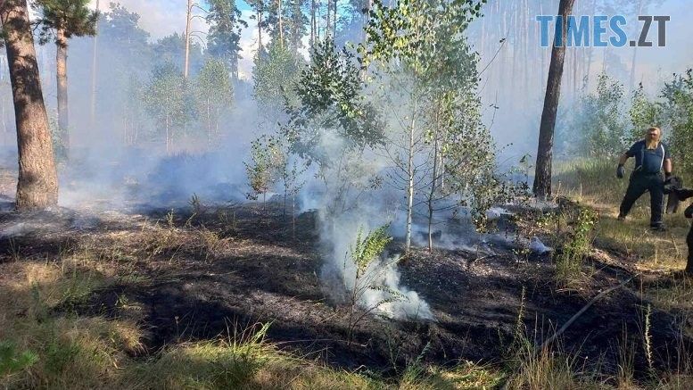 Минулої доби вогнеборці ліквідували на Житомирщині загоряння сухостою на площі 4,4 га