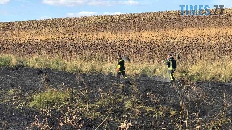 За останню добу на Житомирщині в результаті загоряння сухостою вогонь пройшов понад 20 га території