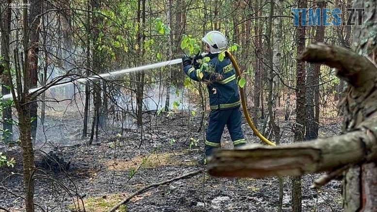 Лише за минулу добу на Житомирщині сталося 16 загорянь сухостою