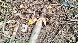 У Малині через детонацію вибухового пристрою постраждала 13-річна дитина