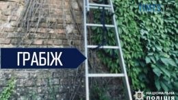 У Житомирі чоловік викрав 4-метрову драбину у чужому дворі просто на очах господаря