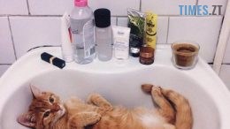 Через аварію на водогоні частина міста залишилась без води