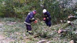 Через негоду 8 населених пунктів Житомирщини залишилися без світла