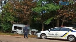 У ДТП під Житомиром постраждала 8-річна дитина