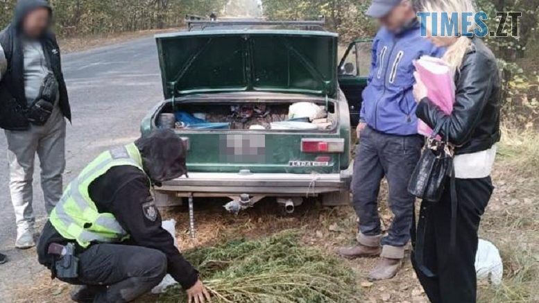 На Малинщині правоохоронці виявили у зупиненому легковику 64 кущі конопель