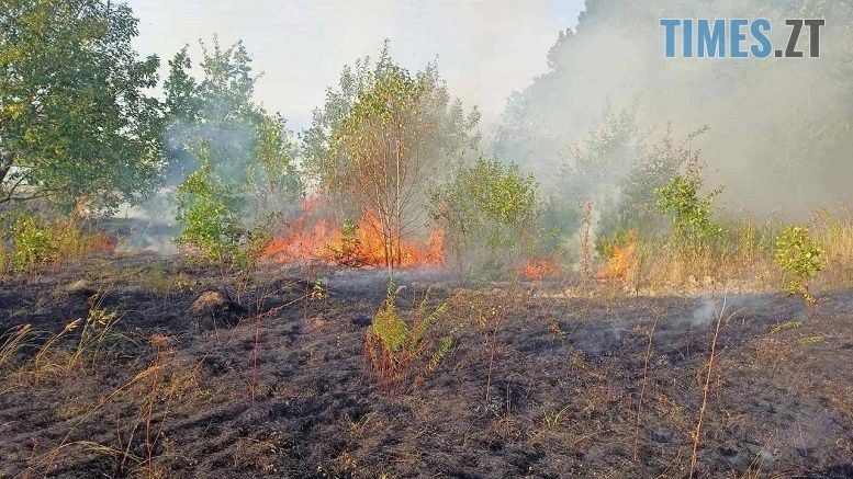 13 загорянь сухої рослинності та торфу ліквідували бійці ДСНС на Житомирщині лише за останню добу