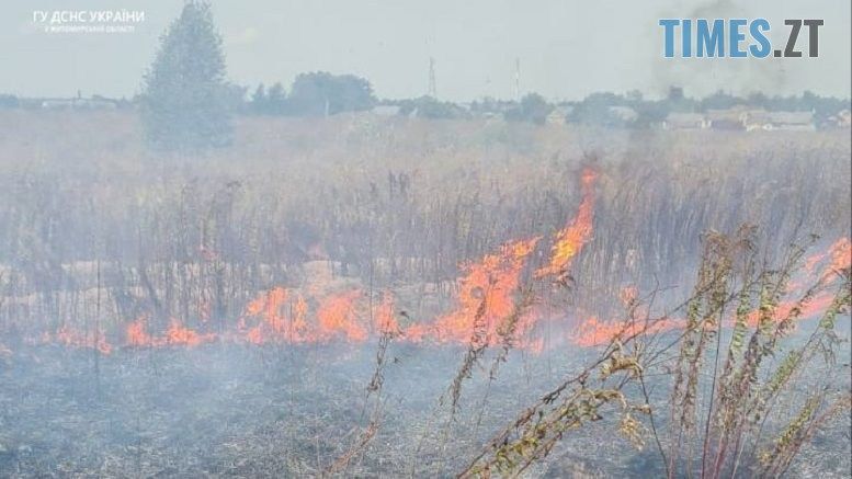 7 пожеж сухої трави та чагарників ліквідували вогнеборці на Житомирщині за останню добу