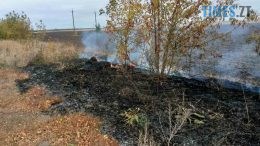 Внаслідок спалювання сухої трави, чагарників, сміття від початку року на Житомирщині вигоріло майже 750 га території
