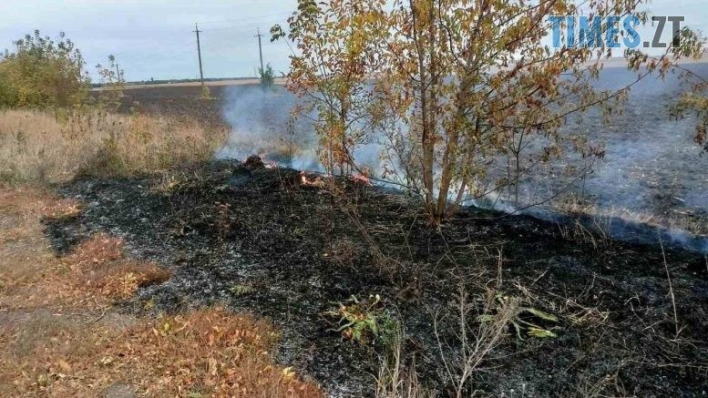 Внаслідок спалювання сухої трави, чагарників, сміття від початку року на Житомирщині вигоріло майже 750 га території