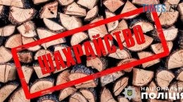На Ружинщині місцевий житель, намагаючись придбати дрова, віддав шахраям 10 тис грн