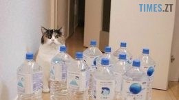 На одній з водопровідних мереж Житомира стався прорив: мешканців просять запастись водою