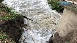 В результаті аварії на колекторі у Житомирі в річці Тетерів фіксується підвищення концентрації забруднюючих речовин