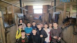 У Житомирі "Берегиня Полісся" проводить екскурсії для дітей: у програмі знайомство з конями та верхова їзда