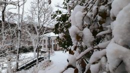 Засніжений ранок у великому місті: справжня зима на вулицях Житомира