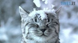 Завтра на Житомирщині прогнозують перший сніг