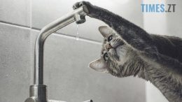 У Житомирі водоканал дезінфікує мережі