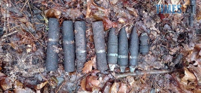 Піротехніки ДСНС ліквідували на Житомирщині 10 боєприпасів, виявлених напередодні лісівниками на території області