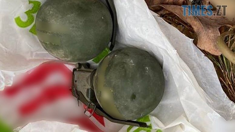 В лісосмузі на околиці Житомира було виявлено дві гранати