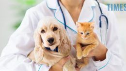 Українці можуть отримати безкоштовні ветеринарні онлайн-консультації в 36 країнах світу