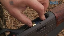 На Житомирщині планують відстрілювати вовків та лисиць