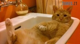 Внаслідок аварії на водогоні частина житомирян залишилась без води
