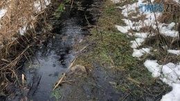 У Житомирі через забруднення річки відкрито кримінальне провадження