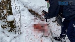 У Ємільчинській громаді лісівники упіймали "на гарячому" чергового браконьєра