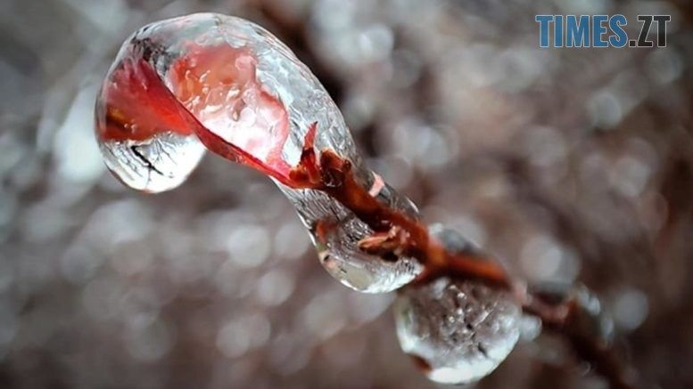Ожеледиця та перепади температур: якою буде погода у вихідні в Житомирі