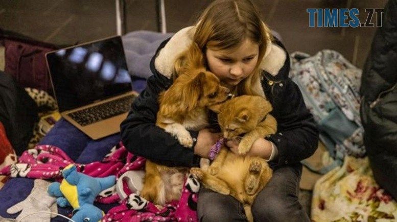 В Україні дозволили брати з собою в укриття домашніх тварин
