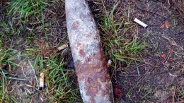 На околиці Радомишля місцевий мешканець випадково виявив артилерійський снаряд