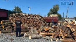 На Житомирщині перед судом постане троє учасників злочинної групи, які завдали довкіллю шкоди на 2 млн грн