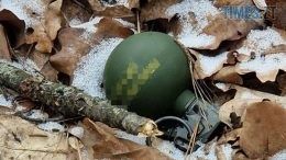 У лісосмузі на околиці Житомира було виявлено дві гранати