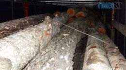 На Звягельщині правоохоронці зупинили вантажівку з краденим лісом: тривають слідчі дії