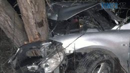 На Бердичівщині влетів у дерево легковик, в салоні якого перебували неповнолітні дівчата