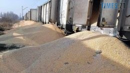 Польські протестувальники здійснили чергову диверсію на залізниці, висипавши 160 тон української кукурудзи з 8 вагонів поїзду