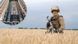 Військовий у полі