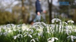 Хмарні та теплі вихідні очікують житомирян цього тижня