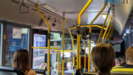 Перевезення пільговиків у громадському транспорті Житомира: що зміниться