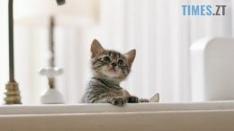 Де сьогодні у Житомирі не буде води