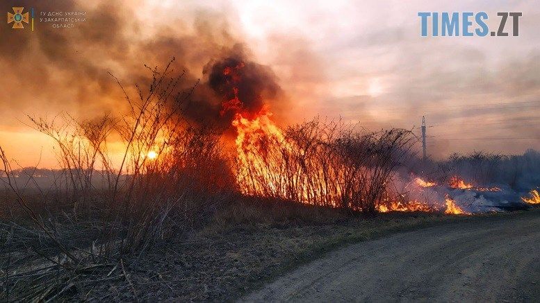 Сезон боротьби з паліями сухостою розпочато: минулої доби на Житомирщині сталося 7 пожеж в екосистемах